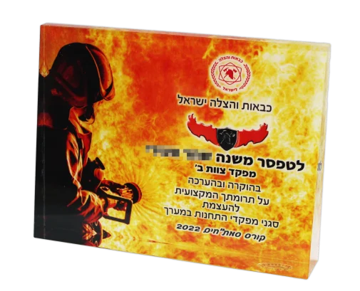 מגן זכוכית הדפס UV