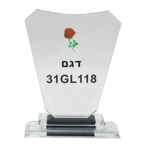 מגן זכוכית 31GL118