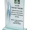 מגן זכוכית 31GL011