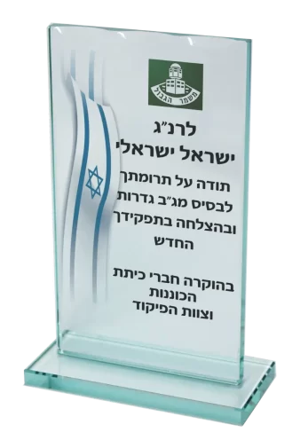 מגן זכוכית 31GL011