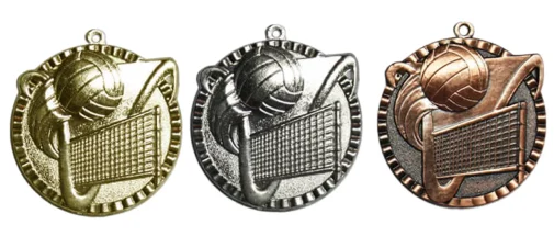 מדליות כדורשת / כדורעף