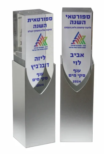 מגן זכוכית 31GL175