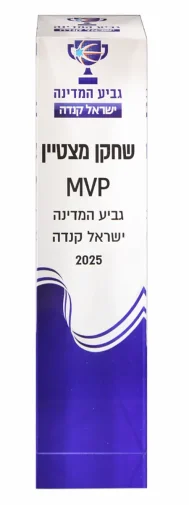 מגן זכוכית 83